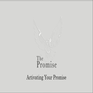 The Promise - Activating Your Promise by Pastor Craig Ashcraft
