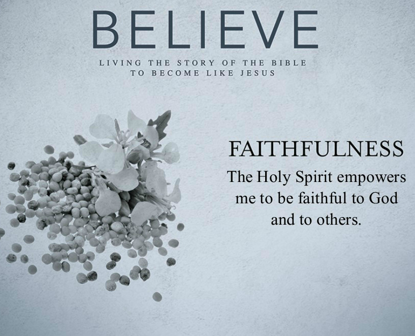 Believe 28: Faithfulness by Duane Lowe