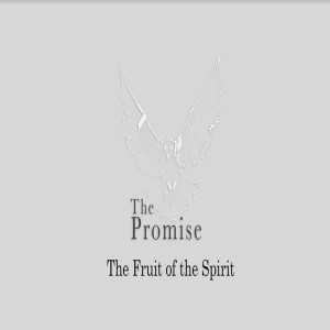 The Promise - The Fruit Of The Spirit by Pastor Duane Lowe