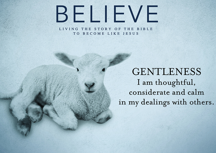 Believe 29: Gentleness by Duane Lowe