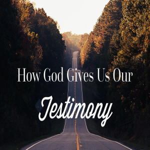 How God Gives Us Our Testimony by Pastor Duane Lowe