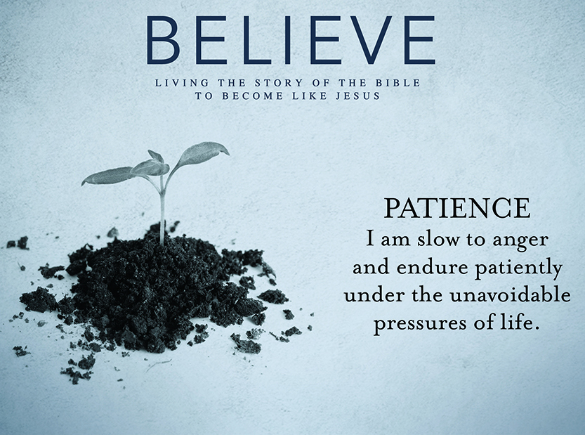 Believe 26: Patience by Duane Lowe