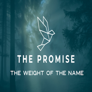 The Promise (2021-22) - The Weight Of The Name by Pastor Duane Lowe
