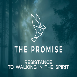 The Promise (2021-22) - Resistance To Walking In The Spirit by Pastor Duane Lowe