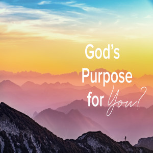 Sweet Spot - God’s Purpose For You Part 2 by Pastor Duane Lowe