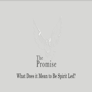 The Promise - What Does It Mean To Be Spirit Led by Pastor Duane Lowe