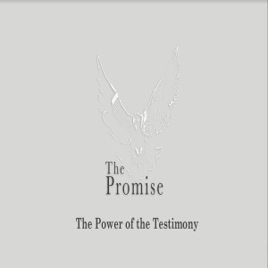 The Promise - The Power Of The Testimony by Pastor Duane Lowe