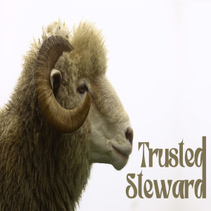 Trusted Steward by Pastor Sean Cleary