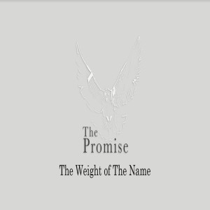 The Promise - The Weight Of The Name by Pastor Duane Lowe