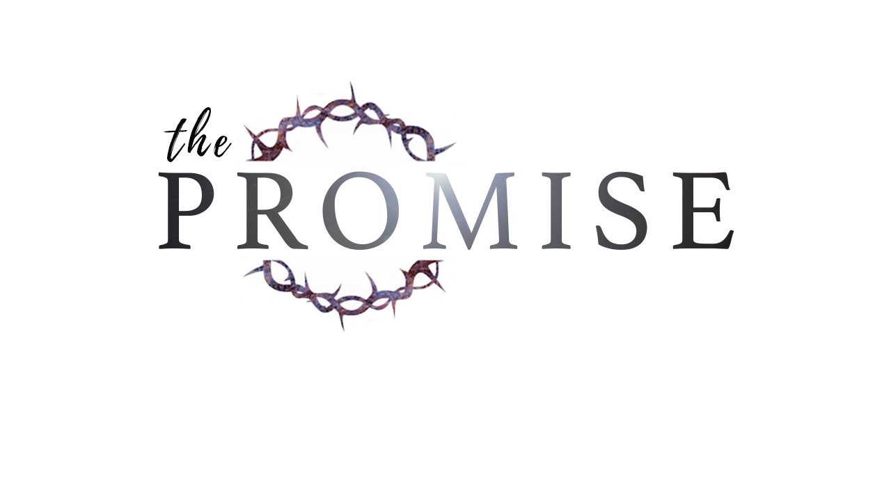 The Promise - Part 3 by Pastor Duane Lowe 