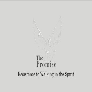 The Promise - Resistance To Walking In The Spirit by Pastor Duane Lowe