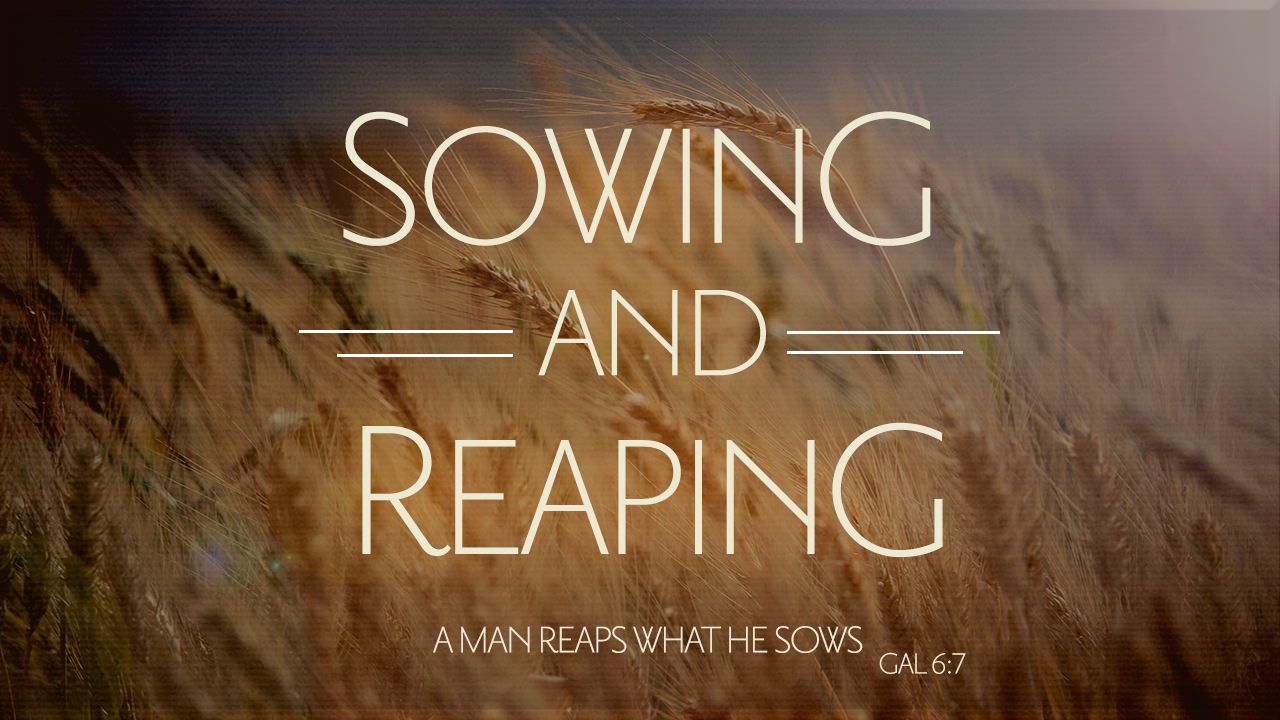 Sowing & Reaping- by Guest Speaker Pastor Mike Smith