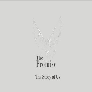 The Promise - The Story Of Us by Pastor Sean Cleary