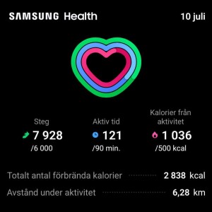 rogers hörna - warrior workout dag 3 resultat