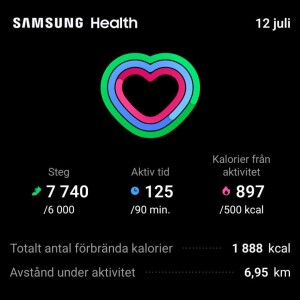 rogers hörna - warrior workout dag 4 resultat
