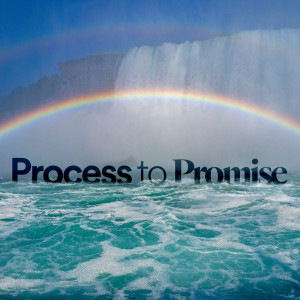 Process to Promise - Ps. Shelly Grever