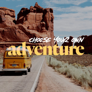 Choose Your Own Adventure - Brian Reiswig