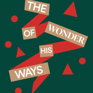 The Wonder of His Ways - Ps. Marco Contreras