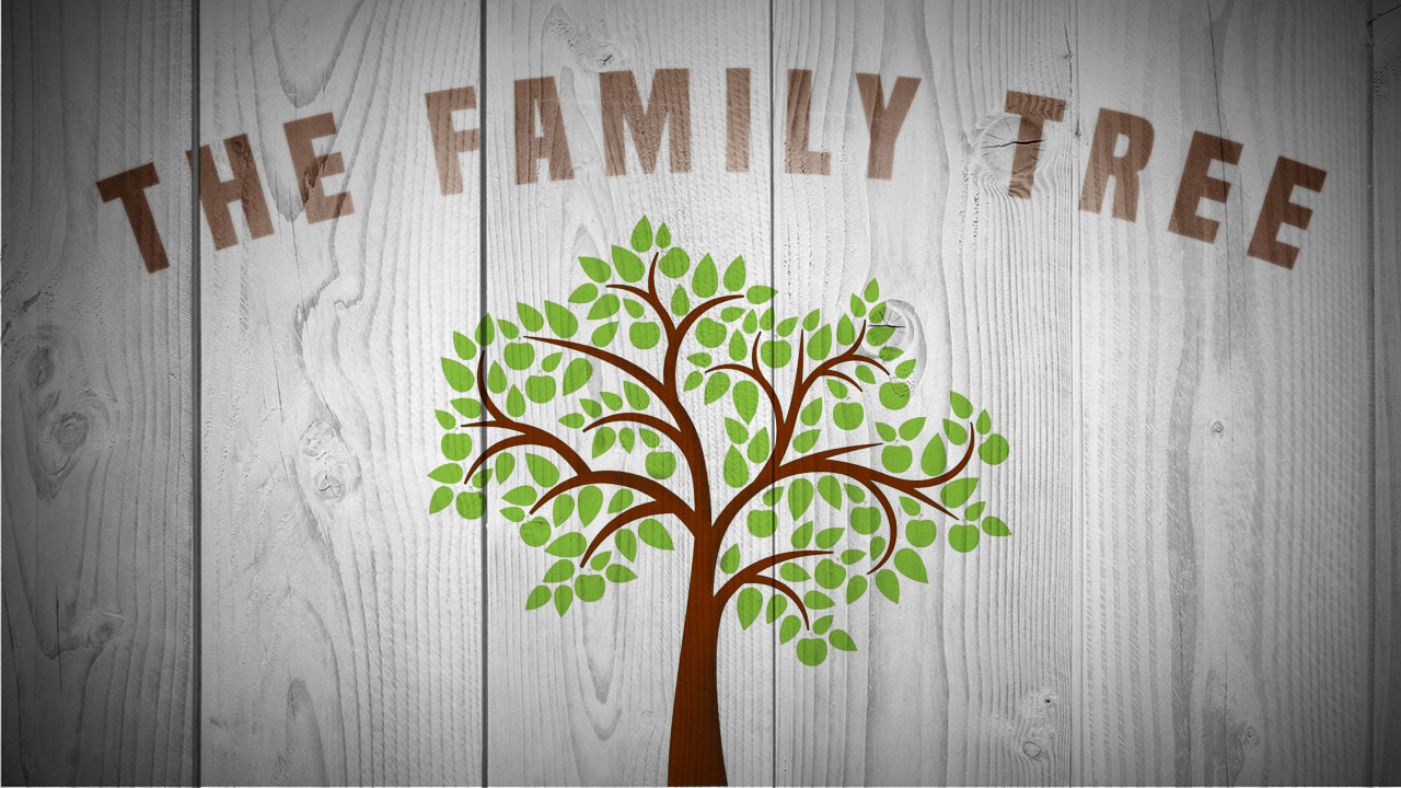 The Family Tree - Ps Stacy Capaldi