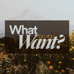 What do You Want? - Ps. Christian McCudden