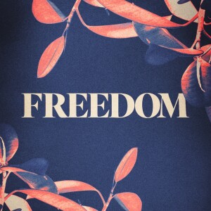 Freedom - Ps. Christian McCudden