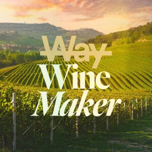 Wine Maker - Ps. Alex Klott