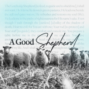 A Good Shepherd - Ps Jake Schutte