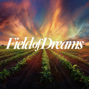 Field of Dreams - Paul Smit