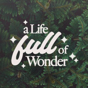 A Life Full of Wonder - David Makin