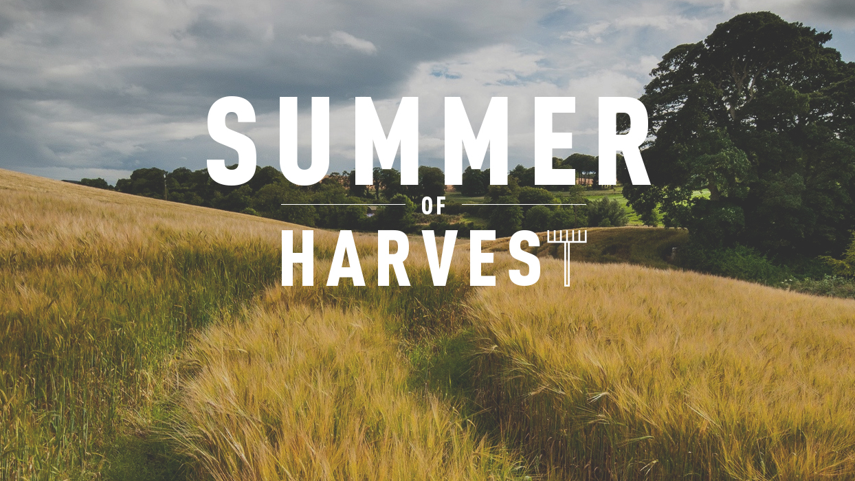 Summer Of Harvest - Ps. Leanne Matthesius
