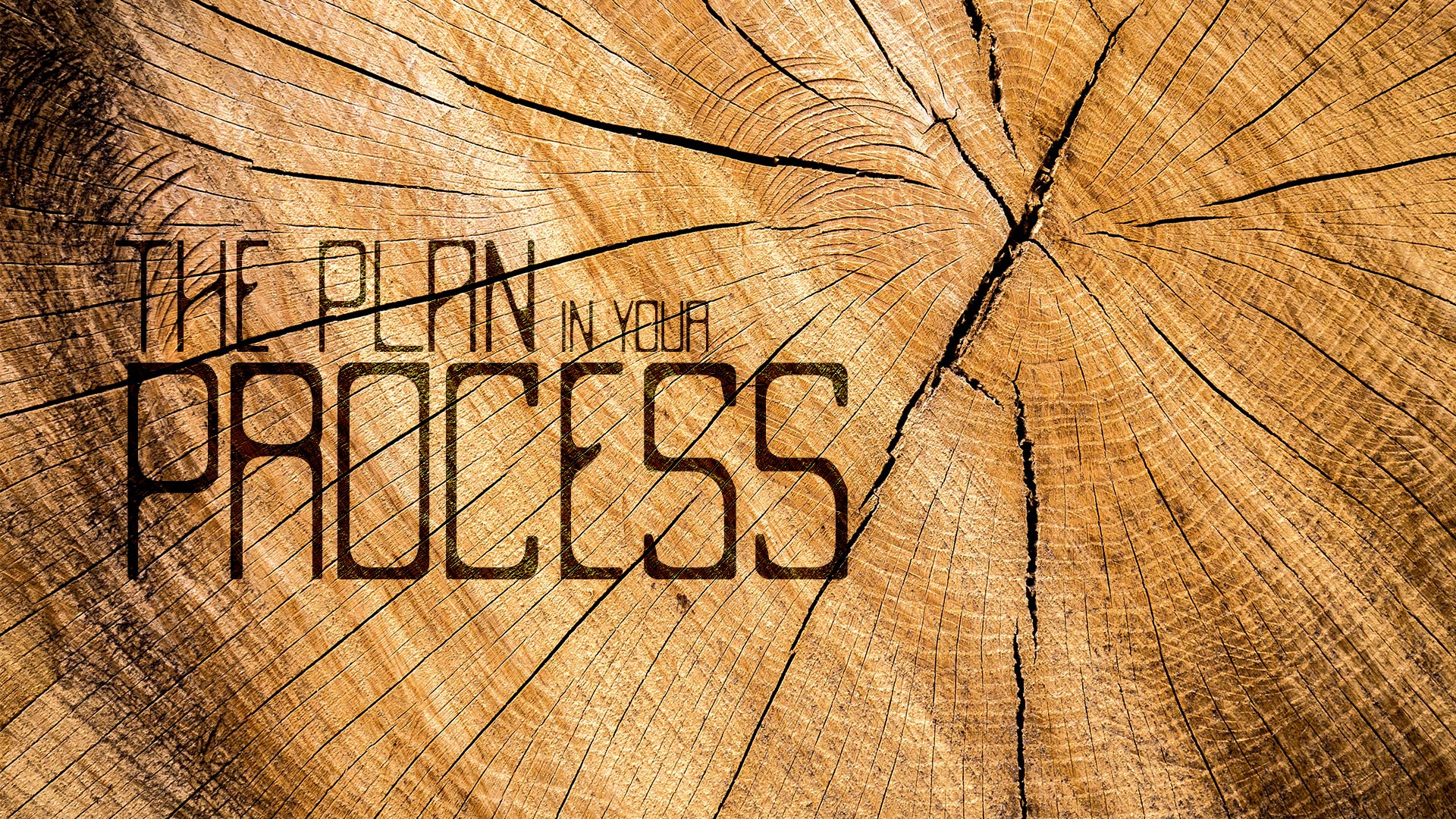 The Plan In Your Process - Ps. Drew Davies