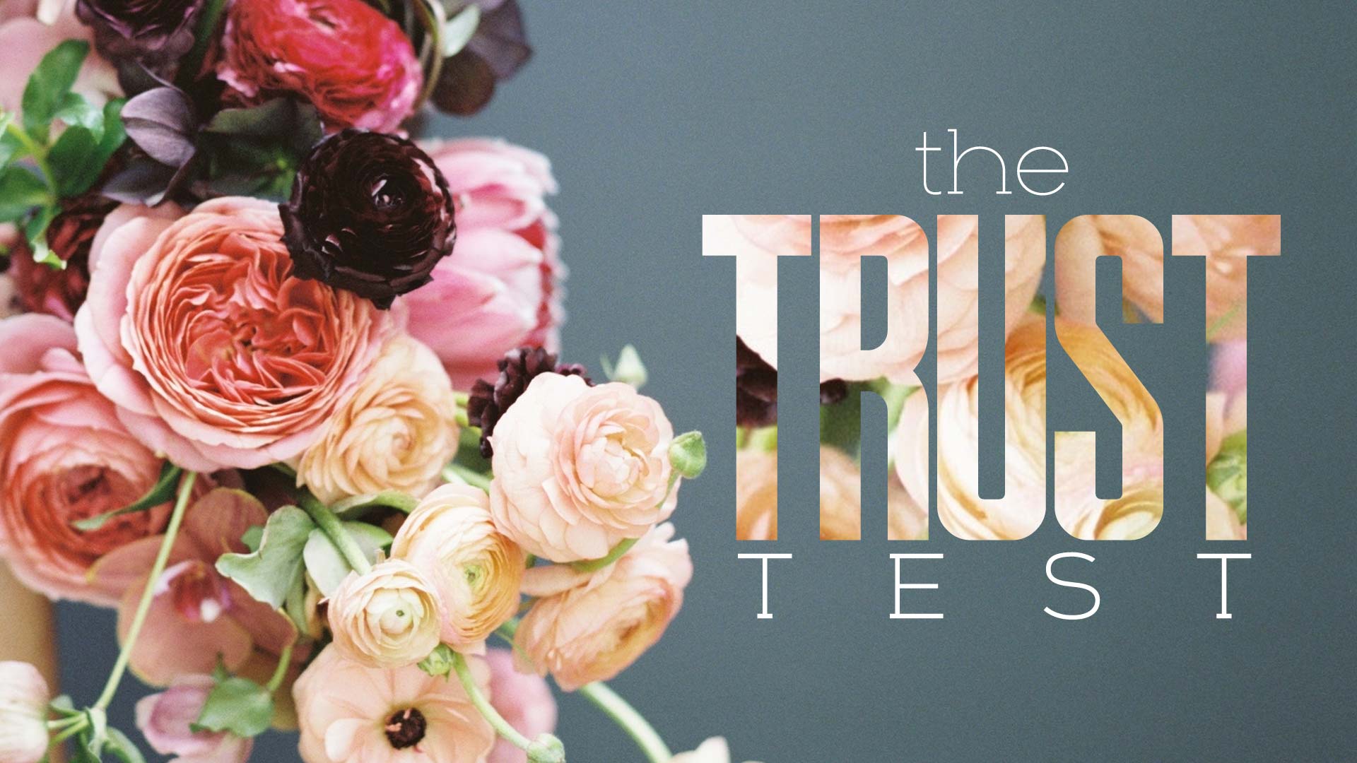 The Trust Test - Ps. Lisa Hundley