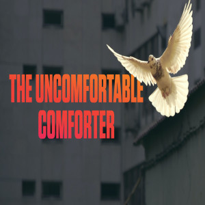 The Uncomfortable Comforter - Aimie Thomas