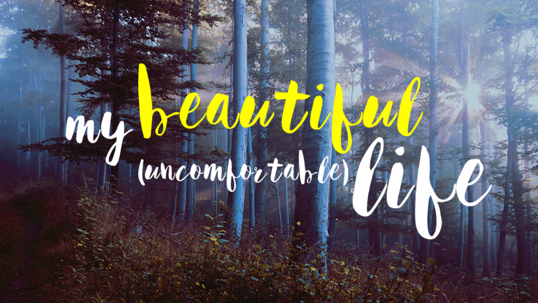 My Beautiful Uncomfortable Life - Val Gray