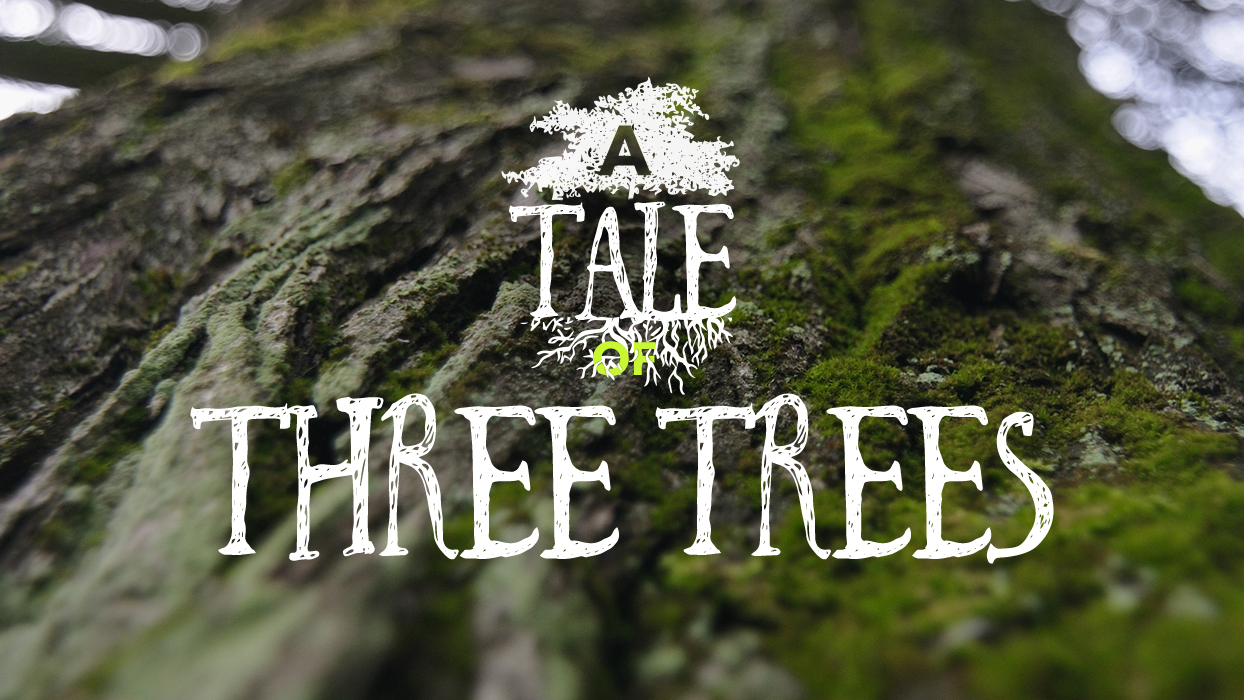 A Tale Of Three Trees - Ps. Jurgen Matthesius