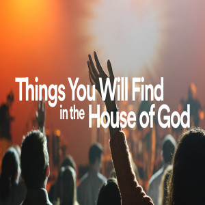 LeaderSight Session 9: Things You Will Find In The House of God - Ps. Jurgen Matthesius
