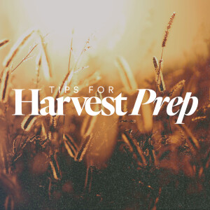Tips for Harvest Prep - Ps. Matt Hubbard