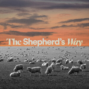 The Shepherd’s Way - Casey Bombacie