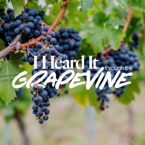 I Heard it Through the Grapevine - Ps. Jurgen Matthesius