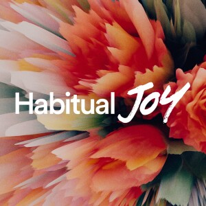 Habitual Joy - Brian Reiswig