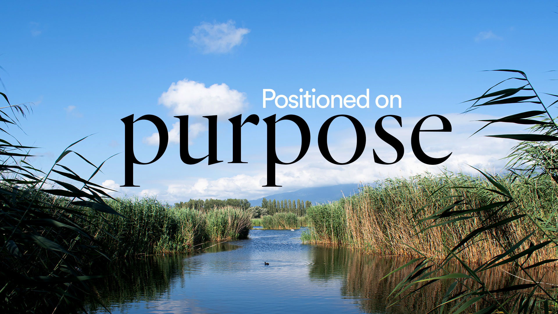 Positioned on Purpose - Ps. Tracey Armstrong