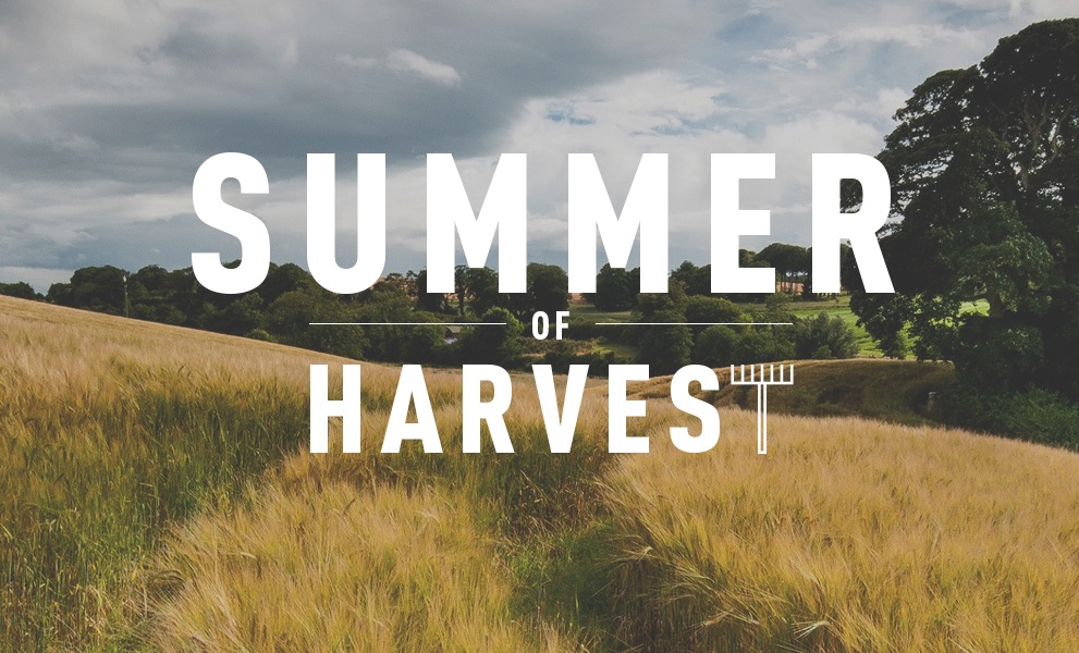 Summer of Harvest - Ps. Leanne Matthesius