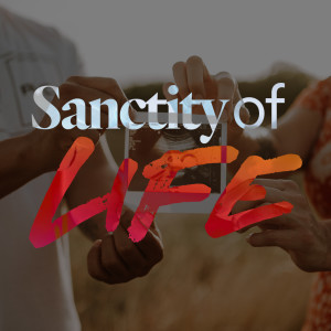 Sanctity of Life - Seth Gruber