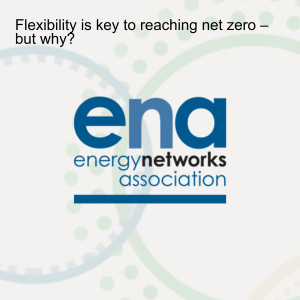 Flexibility is key to reaching net zero – but why?