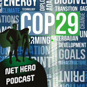 COP out once more? My take on the future of the climate talks