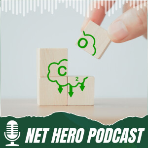 Rethinking net zero?