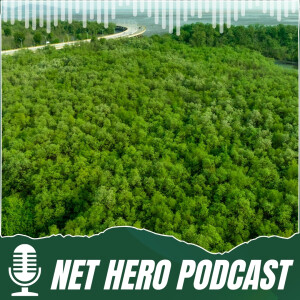 Carbon credits and the money tree