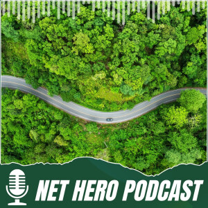 Are we losing the plot on net zero?