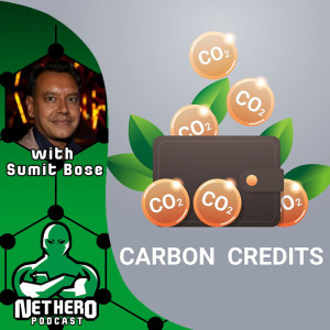 Net Hero Podcast - Blockchains and Carbon Credits