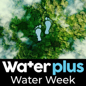 Carbon reduction successes with water